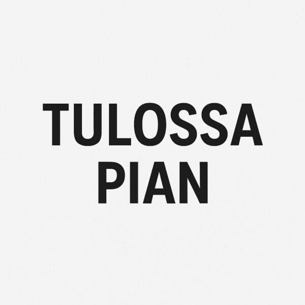 Laturi - Nordscoot S9 yms.